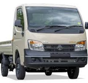 Ace Gold Petrol