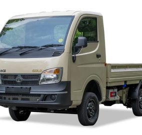 Ace Gold Plus