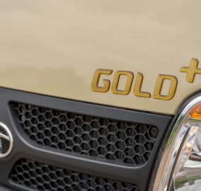 Ace Gold Plus