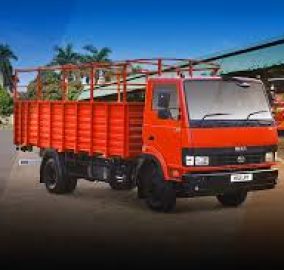 TATA LPT 11124